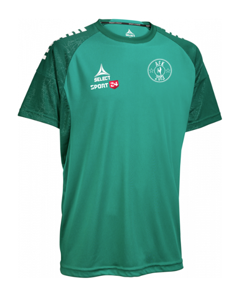 Select Player Shirt S/S Spain Grøn/Hvid